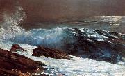 Winslow Homer, Sunlight on the Coast,